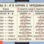 Таблицы Русский язык 5 класс 14 шт.